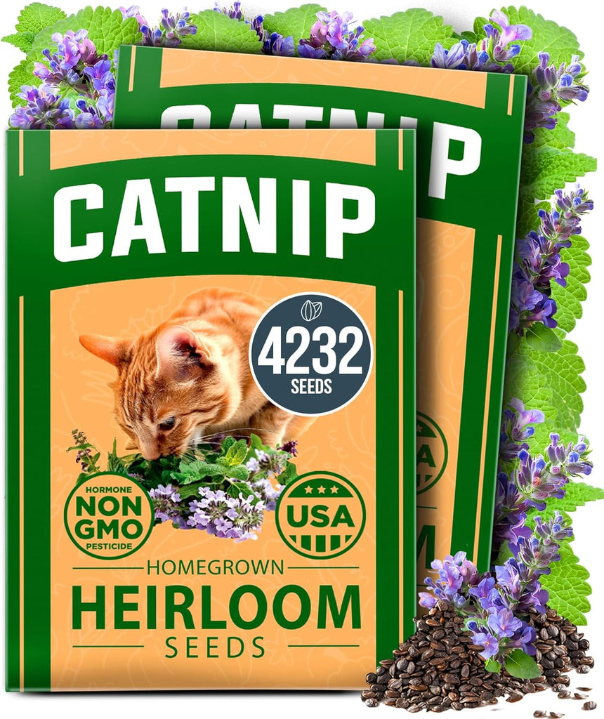 Catnip Seeds for Planting – Premium Non-GMO Heirloom Cat Herb (4,232 Seeds)