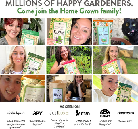 Organic Broccoli Sprout Seeds – Non-GMO High-Germination Seeds for Sprouting & Microgreens