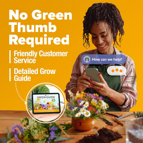 63,200+ Wildflower Seeds Mix – 19-Variety Non-GMO Perennial Pollinator Garden Blend