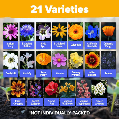 Wildflower Seed Mix (21 Varieties, 49,100+ Seeds, Covers 250 Sq Ft) – Non-GMO Pollinator Blend
