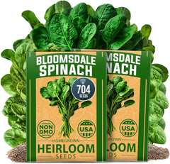 Bloomsdale Spinach Seeds 2 Pack - 704 Non-GMO Seeds