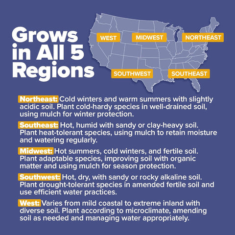 47,400+ Wildflower Seeds Mix – 19 Non-GMO Perennial & Annual Varieties for Pollinator Gardens