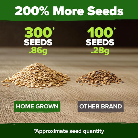 beefsteak plant seeds Beefsteak Tomato Seeds, 300 ct, Heirloom, USA Grown