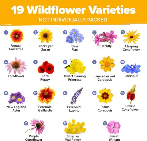 midwest wildflower seed mix Midwest Wildflower Seeds Mix, 19 Varieties, 4oz