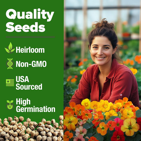 Nasturtium Seeds – Edible Flower Variety (250 Seeds)