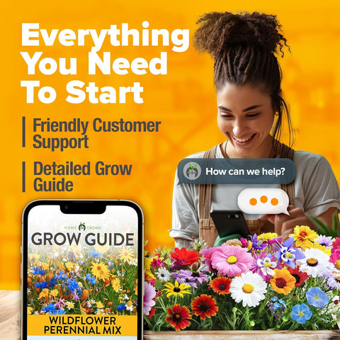 60,600+ Perennial Wildflower Seeds Mix – 24 Non-GMO Varieties for Pollinators & Gardens