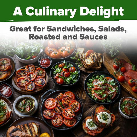 Cherokee Purple Tomato Seeds – Heirloom, Non-GMO, High Germination Rate, Easy to Grow, Ideal for Indoor, Outdoor & Hydroponic Gardens