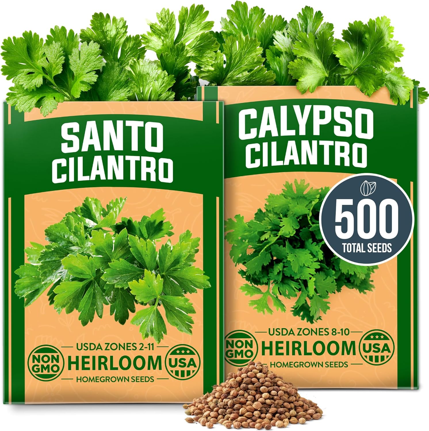 Santo & Calypso Cilantro Seeds Pack – Organic Non-GMO Heirloom Coriander Seeds for Planting Indoors & Outdoors | Slow Bolt Variety