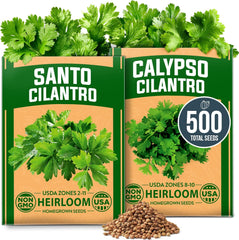 Santo & Calypso Cilantro Seeds Pack – Organic Non-GMO Heirloom Coriander Seeds for Planting Indoors & Outdoors | Slow Bolt Variety