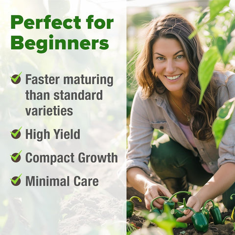 Jalapeño Pepper Seeds – 129+ Non-GMO Heirloom Seeds for Planting (High-Germination, USA-Grown)