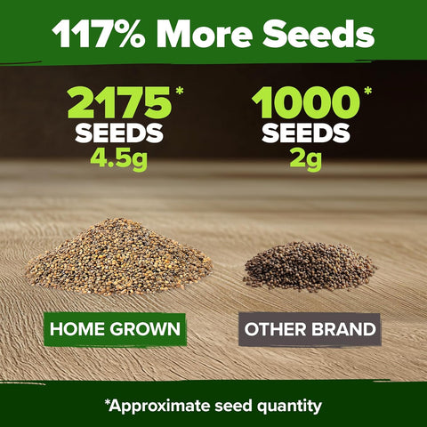 Arugula Seeds – 2,175 Non-GMO Fast-Growing Heirloom Greens for Outdoor & Indoor Gardens