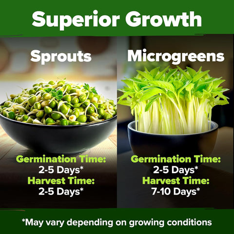 Mung Bean Sprouting & Microgreens Seeds – High-Yield Non-GMO Pack (15,000+ Seeds / 1.5 lbs)