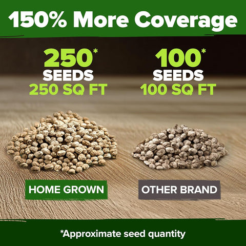 Nasturtium Seeds – Edible Flower Variety (250 Seeds)