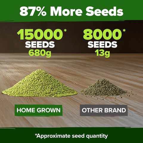 Mung Bean Sprouting & Microgreens Seeds – High-Yield Non-GMO Pack (15,000+ Seeds / 1.5 lbs)