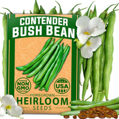 Contender Bush Bean Seeds Pack