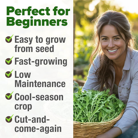 Arugula Seeds – 4,350 Non-GMO Heirloom Seeds (2 Pack) for Fast-Growing Garden Greens