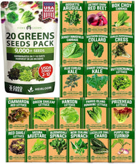 20-Variety Lettuce Seed Pack – 21,600+ Non-GMO Heirloom Salad Greens for Indoor & Outdoor Growing