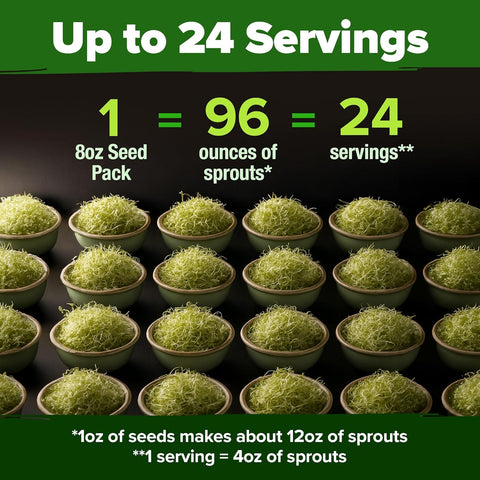 8oz Alfalfa Sprouting Seeds