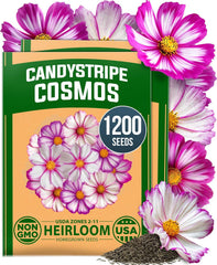 HOME GROWN Cosmos Candystripe Flower Seeds 1200 Count 4g, Spring 2026 Planting, Cosmos Seeds for 2026 Garden, Pink White Cosmos Seeds Bulk, Flower Seeds to Plant Outside