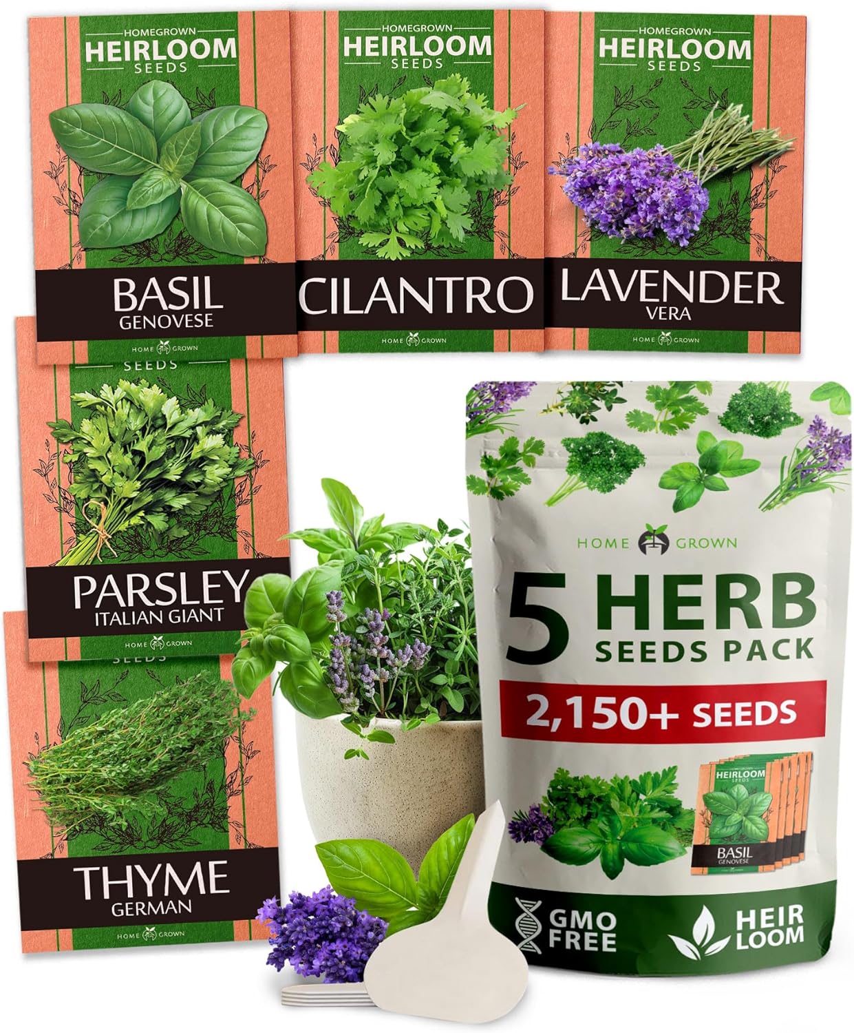 Herb Seed Variety Pack – 5 Non-GMO Culinary Herb Seeds for Indoor & Outdoor Growing