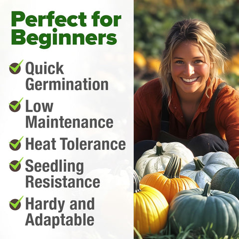 5 Pumpkin Mix Seeds (40 Count) – Premium Heirloom, Non-GMO, Decorative & Edible Varieties – High Nutrition & Rich Flavor