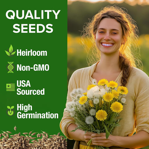 Dandelion Seeds – Heirloom Edible & Medicinal Herb Variety (600 Seeds)