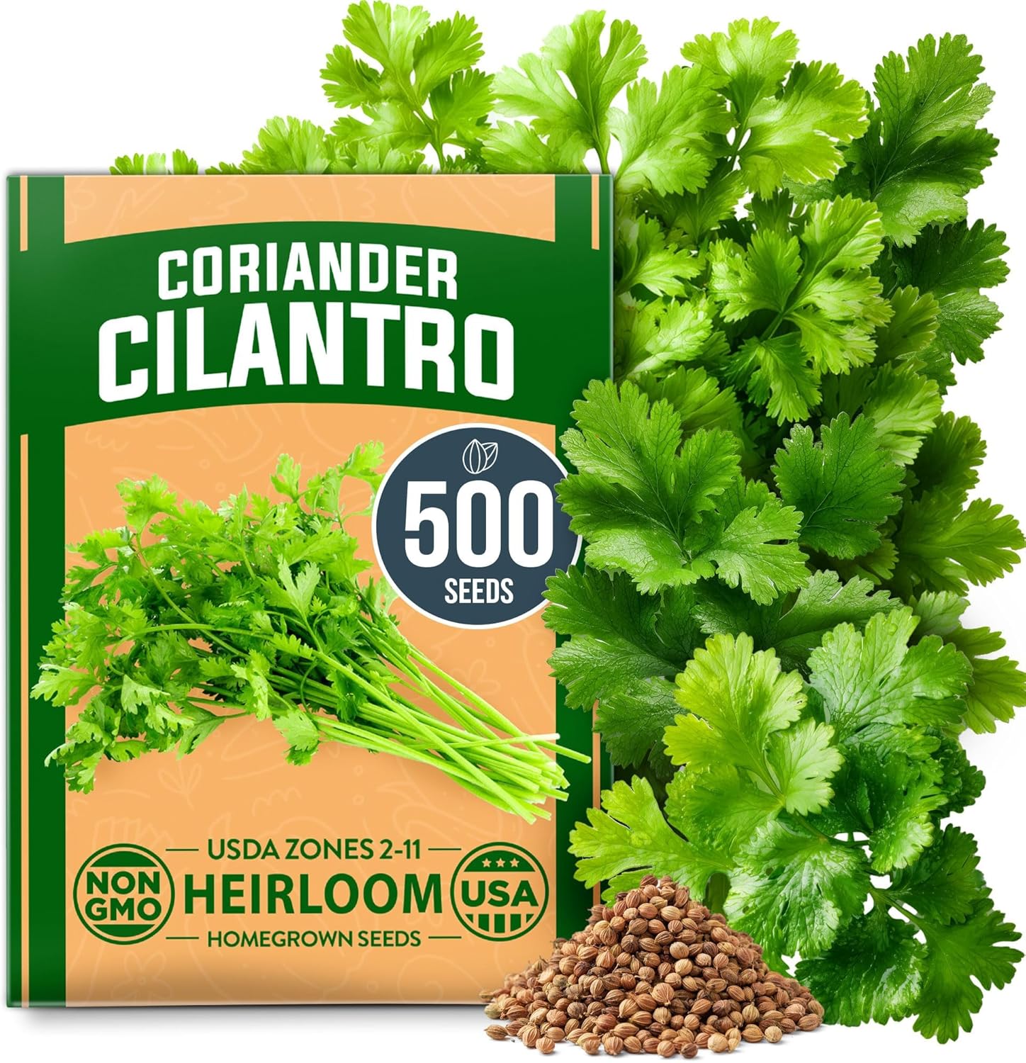 Heirloom Cilantro Seeds for Planting – Non-GMO Herb Seeds, High Germination, Indoor & Outdoor Garden-Friendly