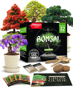 bonsai tree growing guide Bonsai Tree Grow Kit, 4 Varieties, Non-GMO Seeds