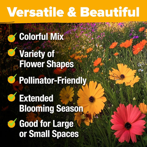 Annual Wildflower Seed Mix (21 Varieties, 110,600+ Seeds, 3oz) – Non-GMO Pollinator Garden Blend
