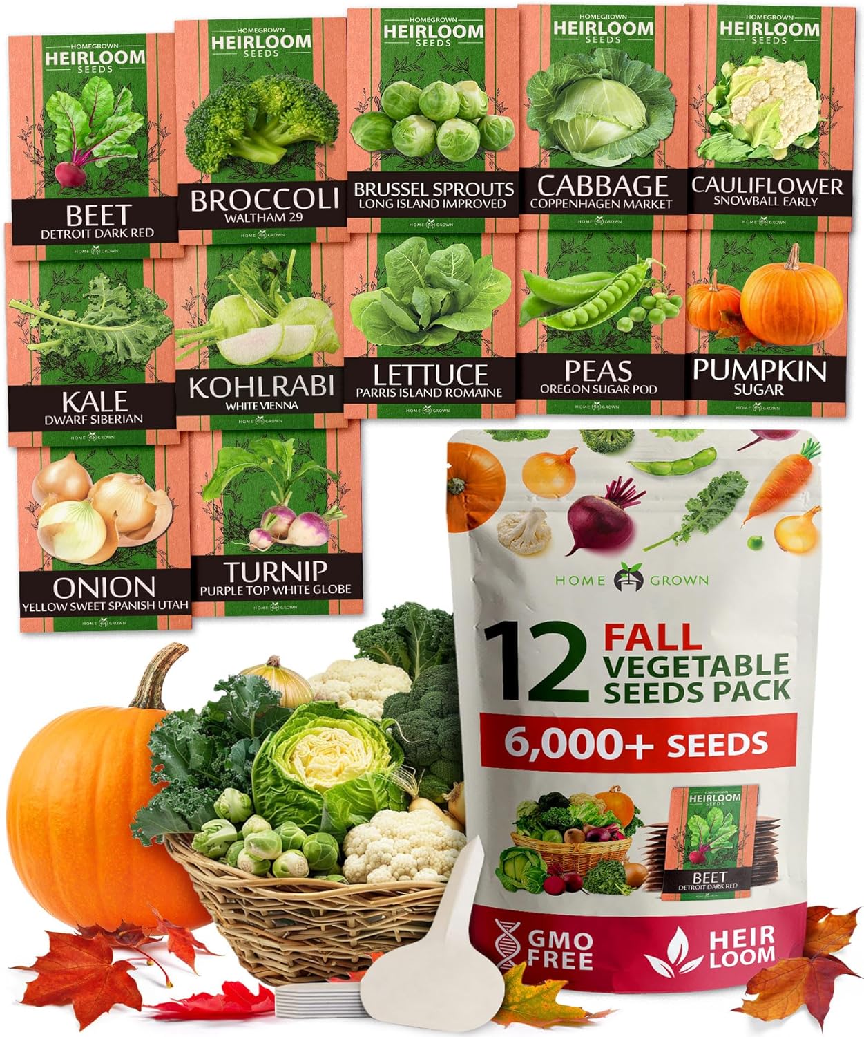 Fall & Winter Vegetable Seed Pack – 6,000+ Non-GMO Heirloom Seeds for Cold-Season Gardening – Easy-Grow Cool Weather Veggies