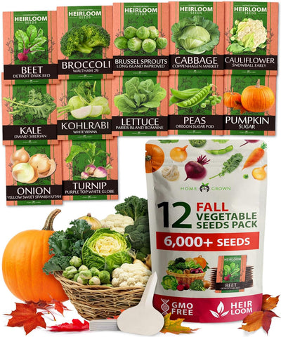 Fall & Winter Vegetable Seed Pack – 6,000+ Non-GMO Heirloom Seeds for Cold-Season Gardening – Easy-Grow Cool Weather Veggies