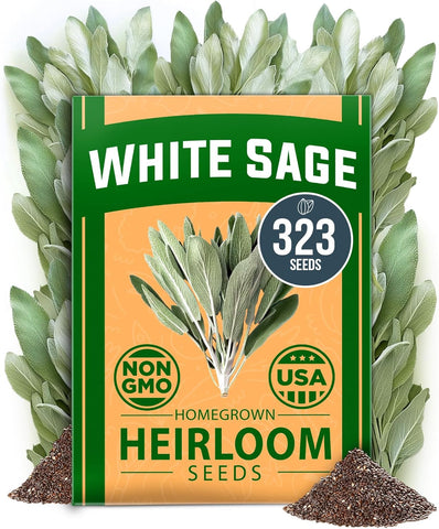 bulk seeds for garden White Sage Seeds, 323 ct, Non-GMO Heirloom, USA Grown