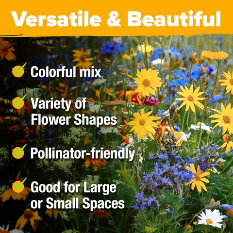 24-Variety Perennial Wildflower Mix – 90,000+ Non-GMO Seeds for Pollinators (3oz)