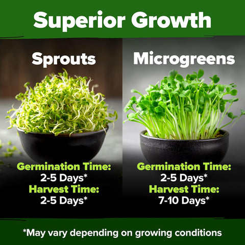 16oz Alfalfa Sprouting Seeds