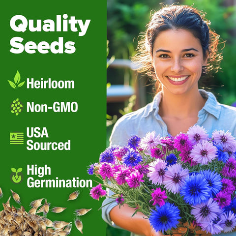 Bachelor’s Button Wildflower Seeds Mix – Fast-Growing, Non-GMO, Pollinator-Friendly (700 Seeds)