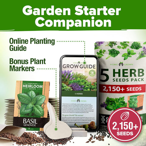 Herb Seed Variety Pack – 5 Non-GMO Culinary Herb Seeds for Indoor & Outdoor Growing