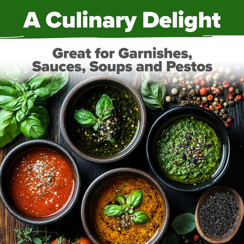 Genovese Basil Seeds – 1750 Non-GMO Heirloom Herb Seeds for Indoor & Outdoor Growing