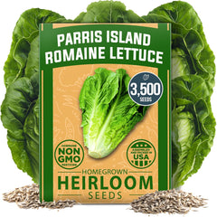 Parris Island Romaine Lettuce Seeds Pack - 3500+ Non-GMO Seeds