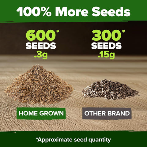 Dandelion Seeds – Heirloom Edible & Medicinal Herb Variety (600 Seeds)