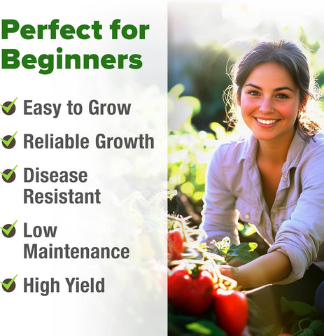 San Marzano Tomato Seeds – Authentic Heirloom, Non-GMO, High Germination, Indoor/Outdoor & Hydroponic Gardening