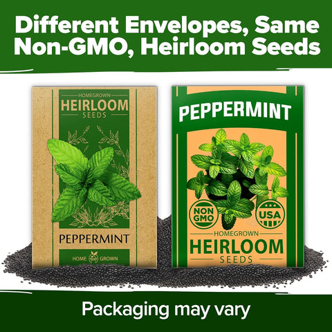 Peppermint Seeds (4,740 Seeds, 2-Pack) – Non-GMO, USA-Grown, High-Germination Herb for Tea, Cooking & Wellness