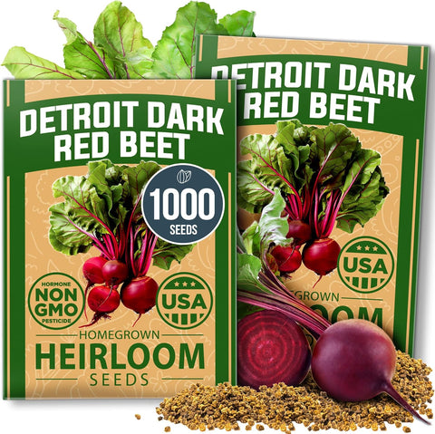 Detroit Dark Red Beet Seeds – 500+ USA-Grown Non-GMO Heirloom Seeds with High Germination