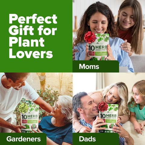 Herb Garden Seed Kit – 10 Non-GMO Culinary Herb Varieties for Indoor, Outdoor & Hydroponic Growing