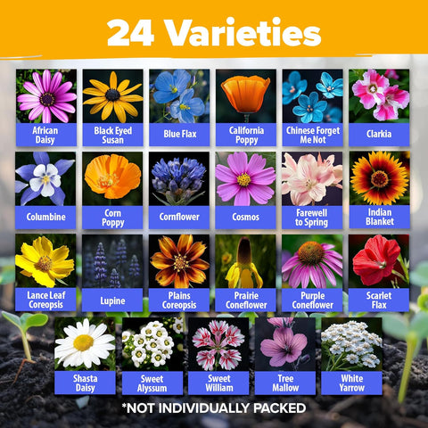 24-Variety Perennial Wildflower Mix – 90,000+ Non-GMO Seeds for Pollinators (3oz)