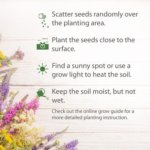 wildflower seeds to scatter Wildflower Seeds, 23 Varieties, 3oz, Pollinators