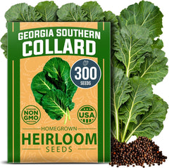 Georgia Southern Collard Bulk Seeds Pack - 300 Non-GMO Heirloom Seeds