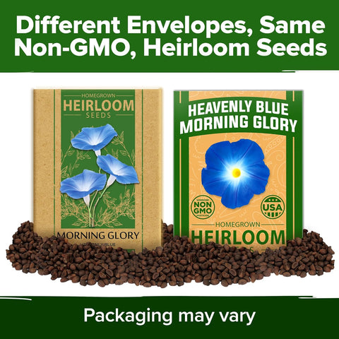 Heavenly Blue Morning Glory Seeds – Non-GMO Heirloom Flower Seeds For Planting, High Germination, Pollinator-Friendly Garden Blooms