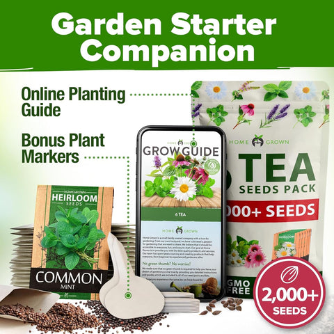 where to buy tea plant seeds Herbal Tea Seed Pack, 6 Varieties, Heirloom Non-GMO