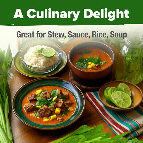 Culantro Seeds – Heirloom Recao Eryngium Foetidum Herb (720+ Non-GMO Seeds)