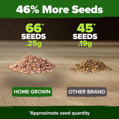 San Marzano Tomato Seeds – Authentic Heirloom, Non-GMO, High Germination, Indoor/Outdoor & Hydroponic Gardening